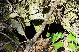 Détail d'une ruine de bâtiment.