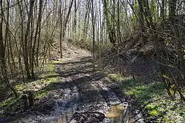 Chemin coupant le terril en deux.