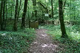 Un des puits de l'ancienne exploitation minière.