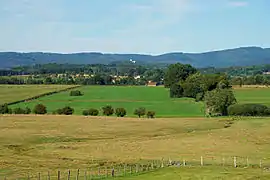 Paysage vers Ronchamp dont on distingue la chapelle Notre-Dame du Haut.