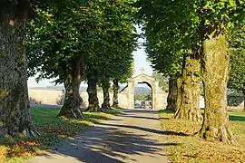 L'allée du cimetière.