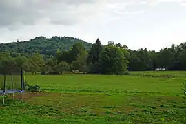 Des champs et des arbres devant une colline.