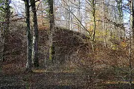 Un grand talus derrière les arbres.