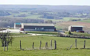 Des hangars agricoles modernes dominant une plaine agricole.