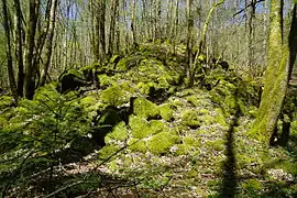 Amoncellement pyramidal de pierres dans le même environnement