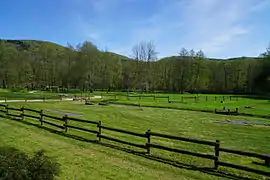 Étendues herbeuses limitées par des barrières.