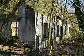 Bâtiment en ruine dans la végétation.