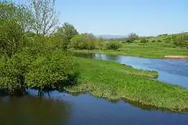 L'Ognon après la confluence avec le Rahin.