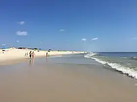Une plage du Jersey Shore dans le :parc d'État d'Island Beah (en).