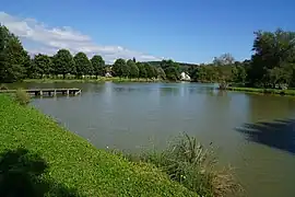 L'étang du village.
