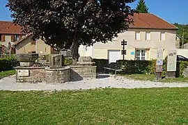 Place occupée par une fontaine, un arbre et en arrière plan des maisons.