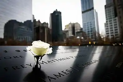 Une rose blanche placée sur la liste des victimes.