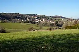 Paysage du centre historique et du Mont.