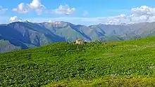 Une cabane avec petit jardin dans des alpages ; derrière, une chaine de montagnes.