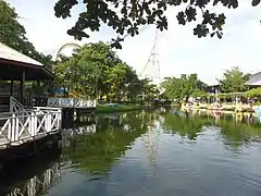 Loop the Loop à Siam Park City