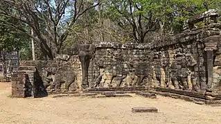 Éléphants de chasse. Extrémité Sud