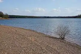 Plage au bord du plan d'eau.