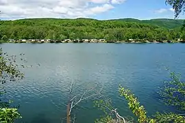 Vue éloignée de bungalows au bord d'une étendue d'eau.