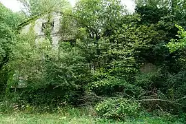 Lavoir du puits du Méglin (Buxières-les-Mines).