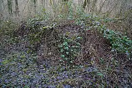 Ruines maçonnées du treuil.