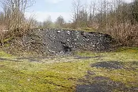 Un flanc noir de terril dépassant de la végétation.