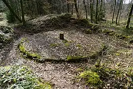 Grande dalle en béton dont le pourtour est recouvert de mousse.