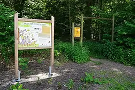Panneau explicatif en bois à l'entrée d'un sentier forestier.