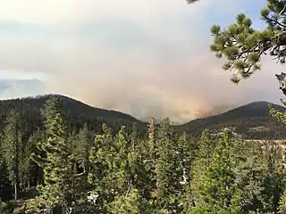 Le Lions Fire dans la forêt nationale d'Inyo le 24 juin 2018.