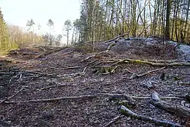 Vue générale du terril du puits situé au sud-ouest de Crainvillers.