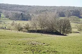 Un monticule conique dans les champs, surmonté de quelques arbres.