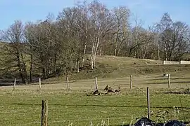 Un monticule conique dans les champs, surmonté de quelques arbres.