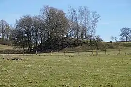 Un monticule conique dans les champs, surmonté de quelques arbres.