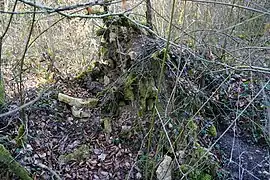 Arbre déraciné révélant des pierres de construction.