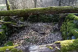 Ruine d'un bâtiment du puits situé à Courcelles.