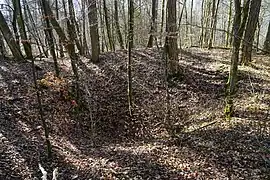 Un affaissement du sol en forêt.