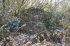 Ruines du bâtiment de recette.