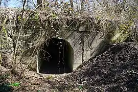 L'entrée du tunnel.