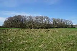 Le terril vue sur la longueur.