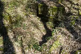 Ruines du puits de mine de Roncevaux.