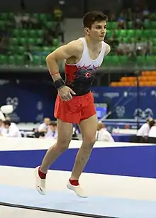 Description de l'image 2019-06-27 1st FIG Artistic Gymnastics JWCH Men's All-around competition Subdivision 3 Vault (Martin Rulsch) 095.jpg.