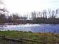 Seuil sur la Loire aux Petits Chambons, près du Bec de Coise.