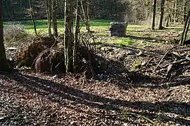 Un large trou recouvert de branchages et de détritus.