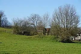 Une petite butte à la limite d'un champ, à proximité d'une maison