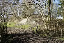 Un long talus recouvert d'arbre.