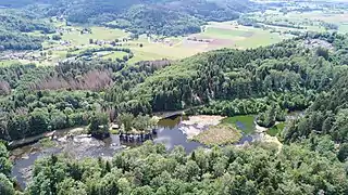 L'étang situé au sommet de la montagne Saint-Martin à Faucogney-et-la-Mer.