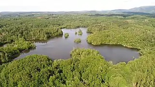 Un étang parsemé de petite îles et entouré de forêt.