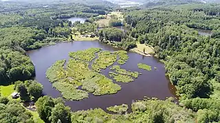 L'étang des Grands Prés à La Voivre.