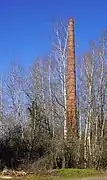 Une cheminée d'usine en brique rouge au milieu des arbres.