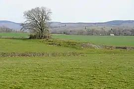 Le terril du puits Guilloux du Bois Saint-Romain.