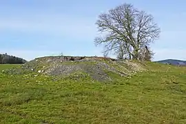 Le terril du puits Guilloux.